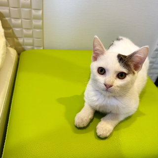 生後5ヶ月　男の子　てんくん