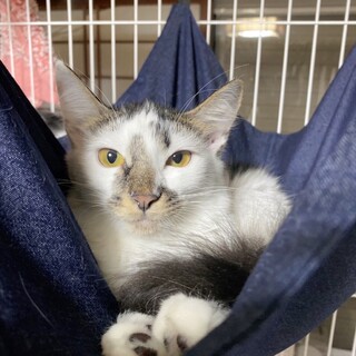 10/23稲毛ෆ⃛モケモケ可愛いෆ⃛きらちゃん