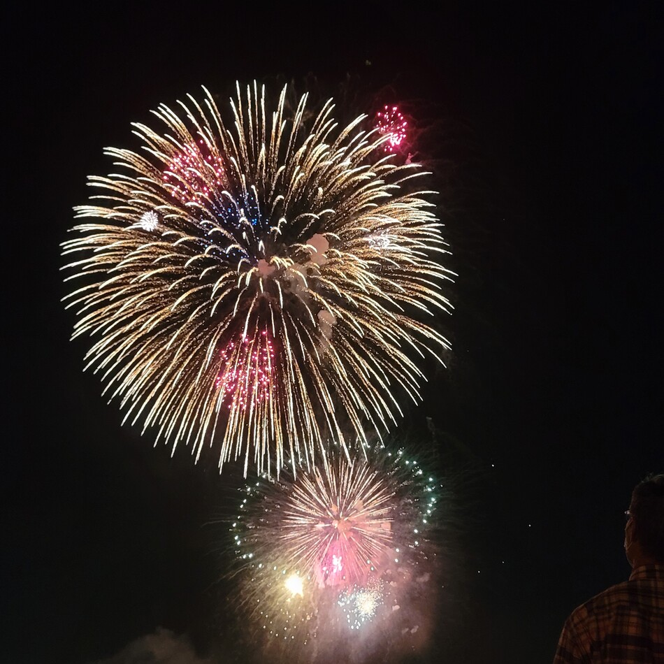 こたろうのカバー写真