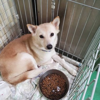 ありがとうございました！