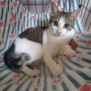 治療頑張った葵に幸せを！