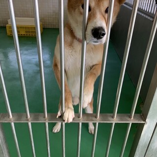 ありがとうこざいました！