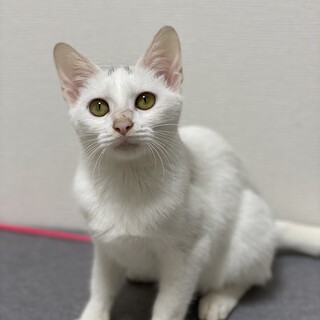 女の子　甘えん坊