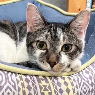 ペア希望　たらこちゃん