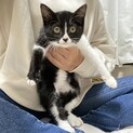 お鼻がハート♡片手袋のDAIGOちゃん1.5ヶ月