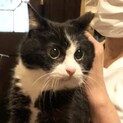 小柄な可愛子ちゃん、お見合い可能です！