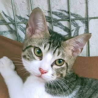 ビビリな美少年(;^ω^)