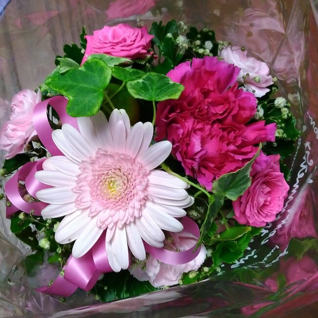 福猫mamasのカバー写真