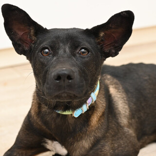 ジュノチャん！