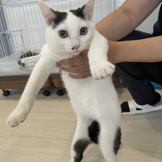 ヤンチャ6兄弟③ ちょび髭がチャームポイント☆