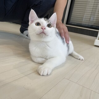 ヤンチャ6兄弟⑤ ふわふわ丸顔☆