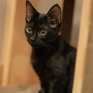 おめめクリクリイケメン男子♪