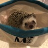 べーゆ さん