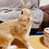 の写真
