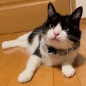元気いっぱい！愛嬌たっぷり愛おしい男の子です。