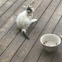 一時中断します。