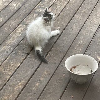 一時中断します。