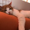 みるちゃー