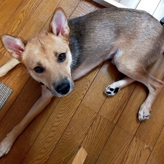 怖がりだけど頑張ってます！可愛い男の子みなも