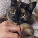 ふわふわさびちゃん♡