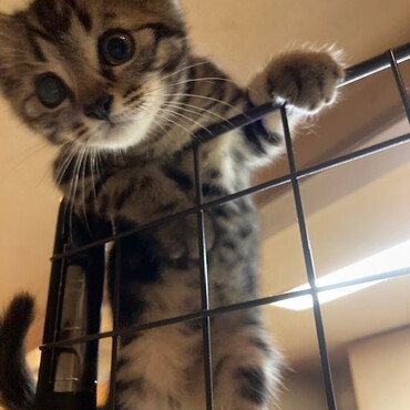 の写真