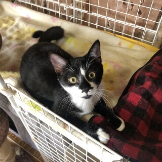 ありがとうございました★パラソルちゃん