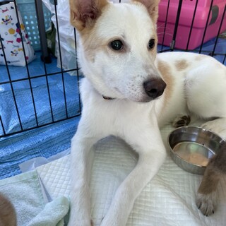 幸せになって欲しい…全盲の心春ちゃん