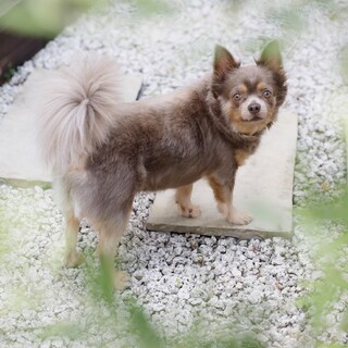 良いご縁に繋がりました。