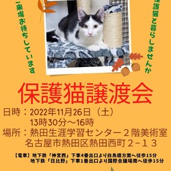 保護猫譲渡会