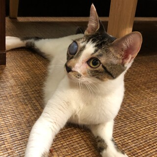 目のハンデを乗り越えて☆わいん