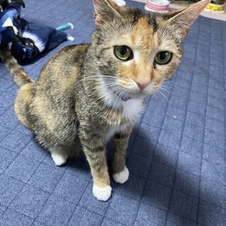 1.5歳　甘えん坊な家族