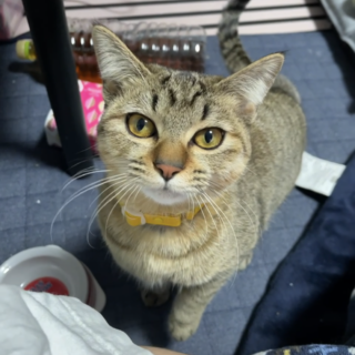 1.2歳　不器用な子