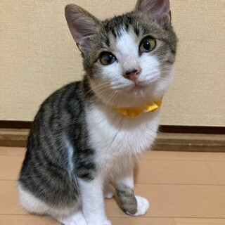 穏やかで落ち着いてる男の子★マーチくん