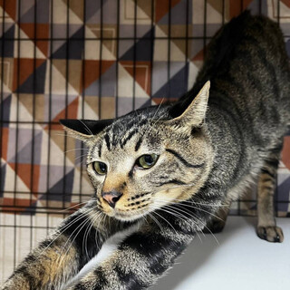 だっこ大好きでれでれくん「ぷー」