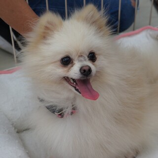 元気いっぱいGOGOゴゴくん