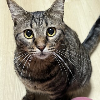 人懐っこい三郎くん