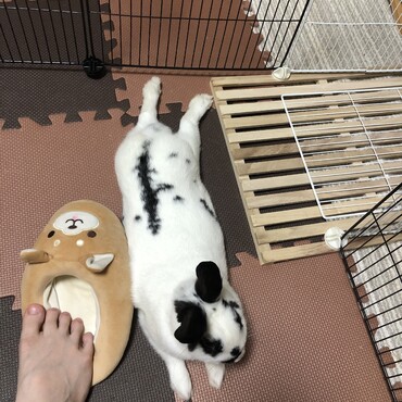 の写真