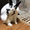 の写真
