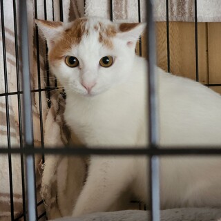 トライアルの為、一旦停止いたします。