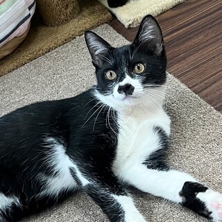 ハル5ヶ月★元気っこ兄弟