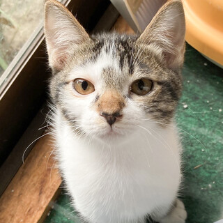 丸顔がとってもキュートな女の子❤️めい