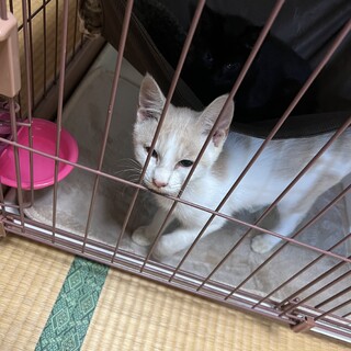 パステルカラー✨生後4ヶ月の男の子です