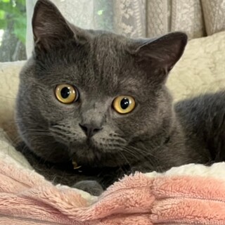 そらちゃん・・ありがとうございました。