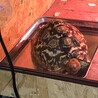 釣りキチパパ