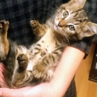 この子を幸せにしてください！