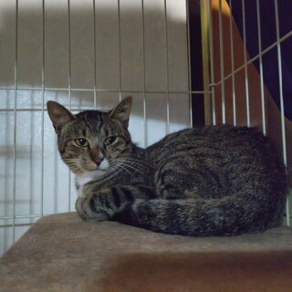 仲良し兄弟です