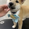 てるおちゃん♪