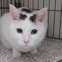 まんまる顔のぼくちゃん