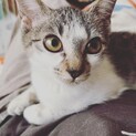 10/28 写真更新★甘えん坊の女の子ばんちゃん