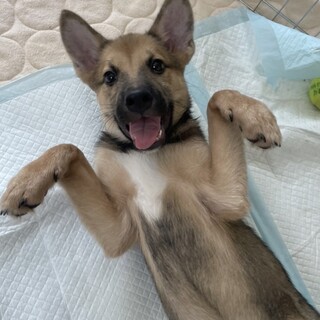 素敵なご縁がありました✨